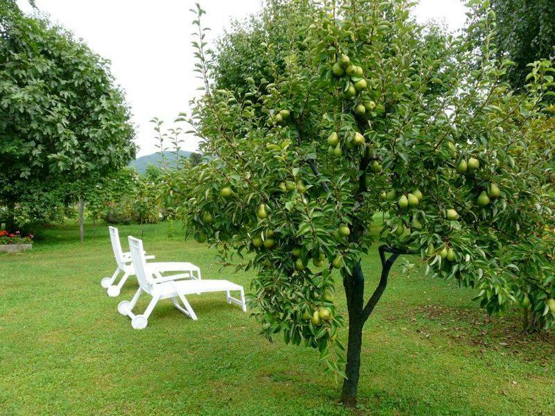 B&B Marie Therese Torreano Dış mekan fotoğraf